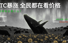 BTC暴涨后，真正值得盯的不是价格：巨鲸、主力大单正在透露什么？