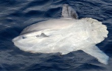 盘点2025年加密机构的“翻车”预测