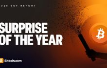 2025年年终报告：年度惊喜