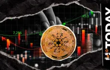 '新卡尔达诺'扼杀了失去一个零的希望