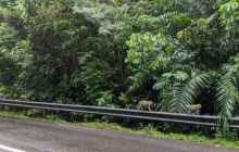 Vitalik：去中心化不丢商业性，权利平衡视角下的「共生」解法