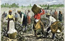 After achieving financial freedom, I became a slave to money.