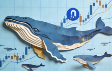 聪明钱涌入！解读BTC反弹背后的三大驱动力