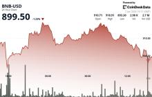 尽管网络升级和生态系统发展，BNB仍跌破900美元，市场下滑。