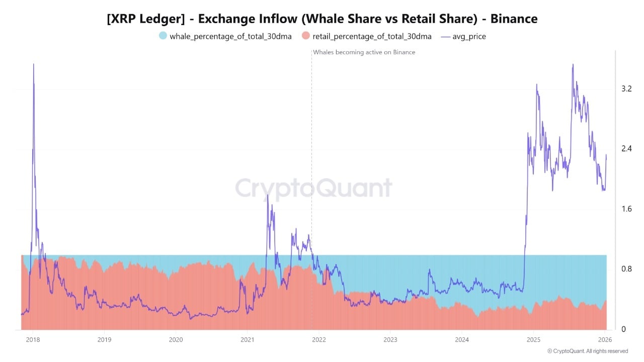 XRP保持关键支撑，鲸鱼退却——这是剧烈突破前的平静吗？