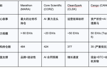 Power Competition National Strategy: Four Survival Models and the Overlooked "Arbitrage" Space