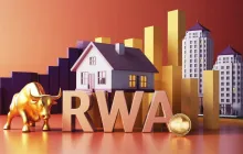 Interpretation of Figure Q3: Why is it undoubtedly the number one stock in RWA?