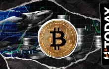 中本聪时代的鲸鱼醒来，转移了2000个比特币