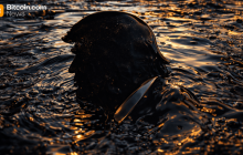 特朗普推动美国石油扩展至委内瑞拉，暗示排除埃克森美孚