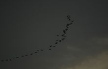 从「工具插件」到「智能主体」：AI+Web3 的产品演进与生态革命