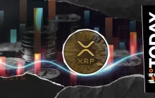 在24小时内仅有562,000,000 XRP：关键指标几乎没有波动