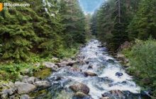 亚瑟·海斯支持的RIVER币在三周内飙升1200%