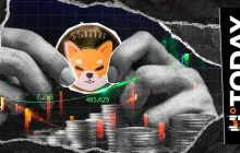 别慌，大家一起向上走，SHIB高管表示