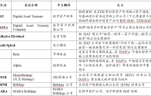 从顺周期扩张到跨周期生存：2026数字资产财库（DAT）可持续性展望——基于融资结构和币种差异的分析