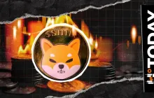 柴犬币燃烧率暴跌99%，价格恢复会停滞吗？