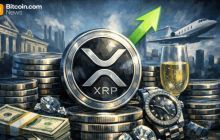 XRP百万富翁钱包正在增长 — 巨鲸正在积累