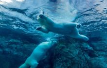 比特币回落至低至81,000美元，糟糕的一天持续进行中