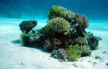 持有比特币ETF的投资者面临纸面亏损，可能会选择放弃