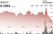狗狗币下跌7%，风险规避交易影响以太坊相关代币