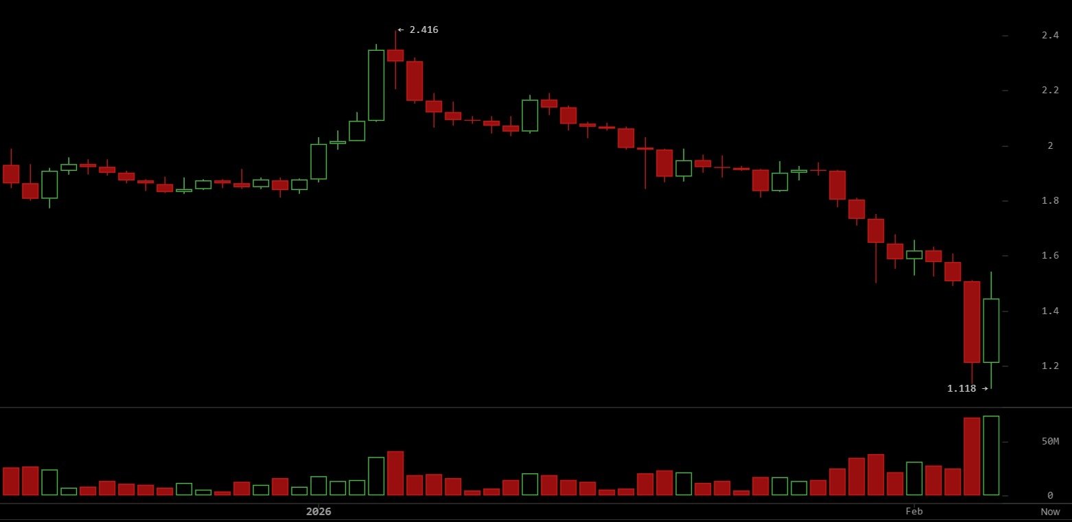 XRP因鲸鱼积累和网络活动信号价格反转而反弹