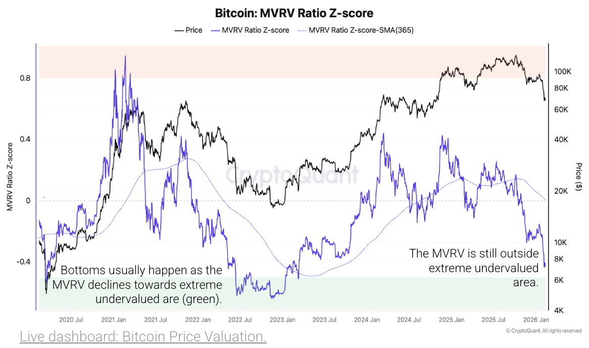 Cryptoquant Warns: Bitcoin Bear Market Bottom Not Here Yet