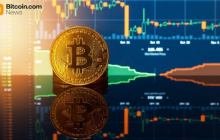 钻石手赢：85%的比特币持有者在二月份的下跌中坚守不移