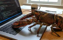 OpenClaw，又失业一批中产阶级