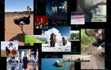 American media reveals the inside story of Sora's shutdown: losing a million daily, user count halved, facing competition for talent.