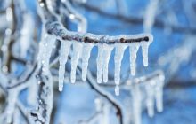 在7100万美元的Arbitrum冻结事件中，加密世界质疑去中心化的真正含义