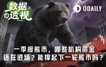 究竟是谁，坚持给加密熊市打钱？