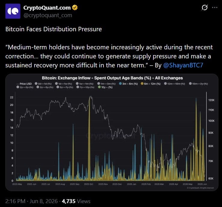 Cryptoquant讨论比特币分配问题的推文。