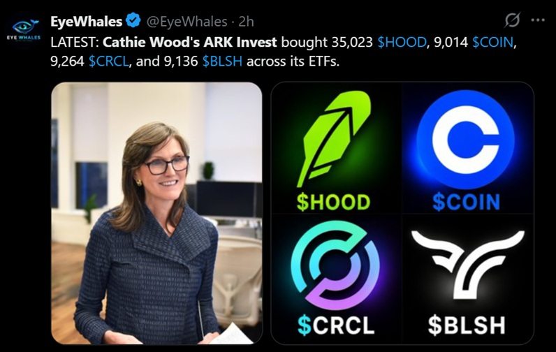 讨论Cahtie Woods最近买入的推特。