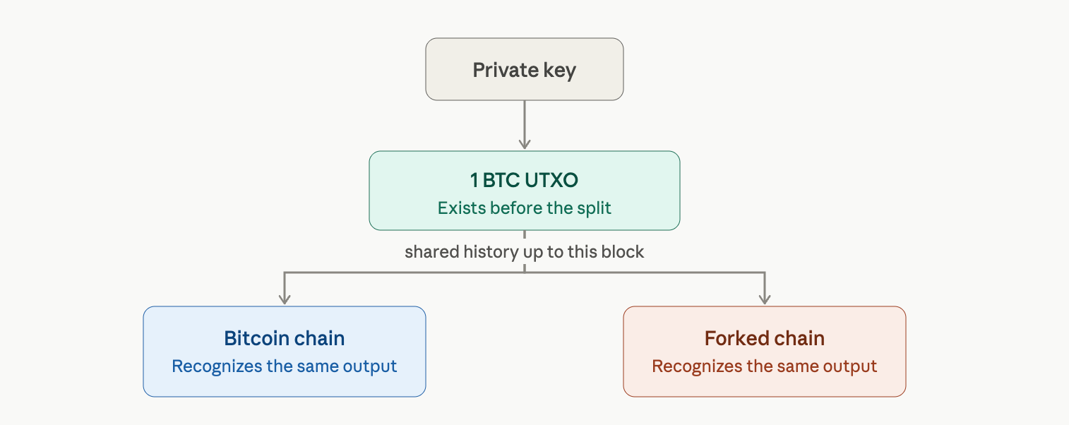 比特币链分裂的解释:为什么每个BTC持有者获得一个新的1:1资产 UTXO历史视觉图。