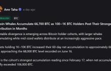 Whales vs. Mid-Tier Holders: The Dramatic Shift in Bitcoin Ownership Splitting the Market