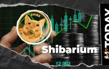 柴犬币：Shibarium 活动激增 507% 但随即全部失去