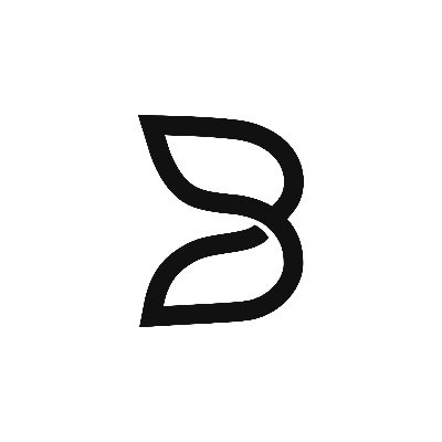 B.AI