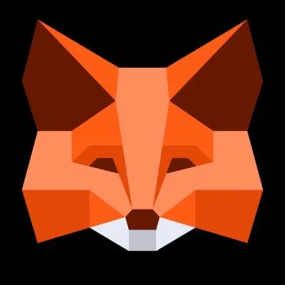 MetaMask 🦊