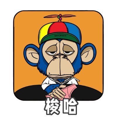 老薛的晨间日记