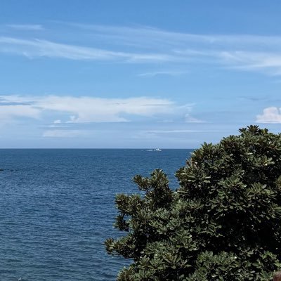 徐冲浪