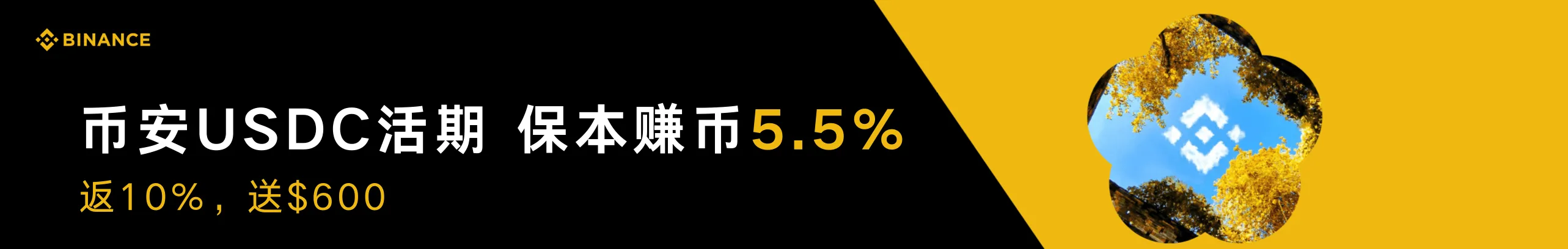 币安USDC活期，保本赚币5.5%