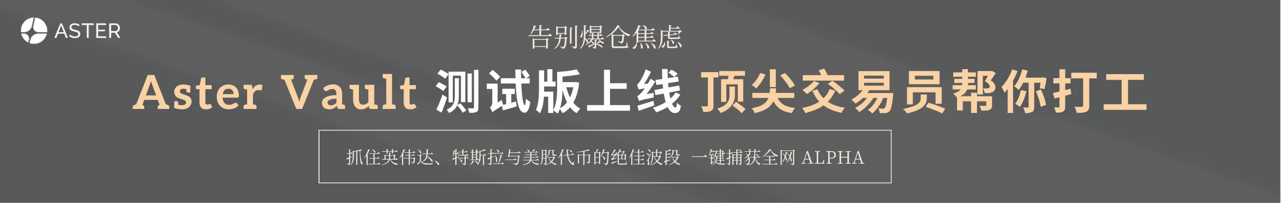 充值 USDT/USD1，无脑分红美股